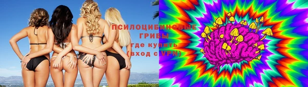 трава Алзамай