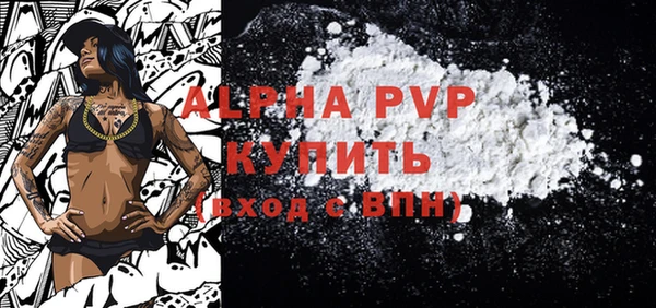 стаф Пересвет